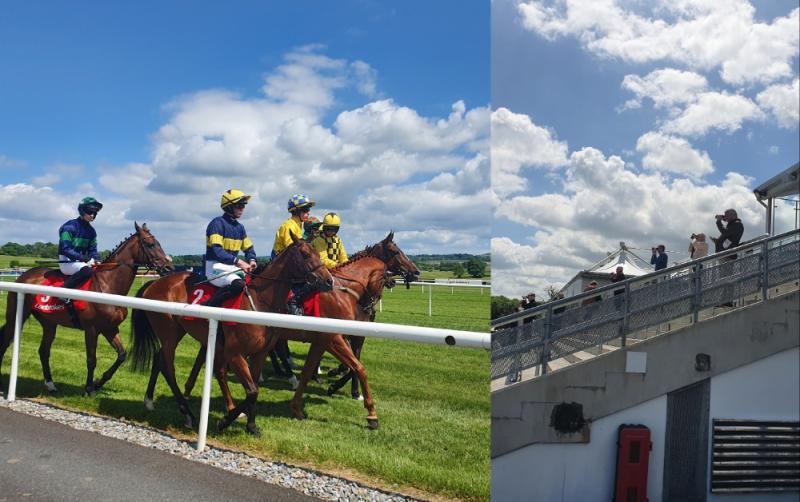Kildare Local Elections: Election race at Punchestown joined by busy day of horse racing