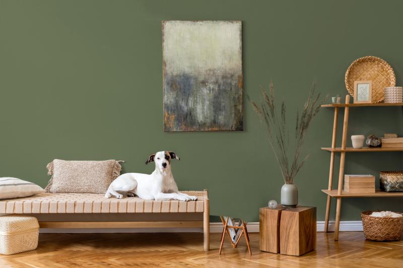 Exciting news for Kildare Design community and homeowners