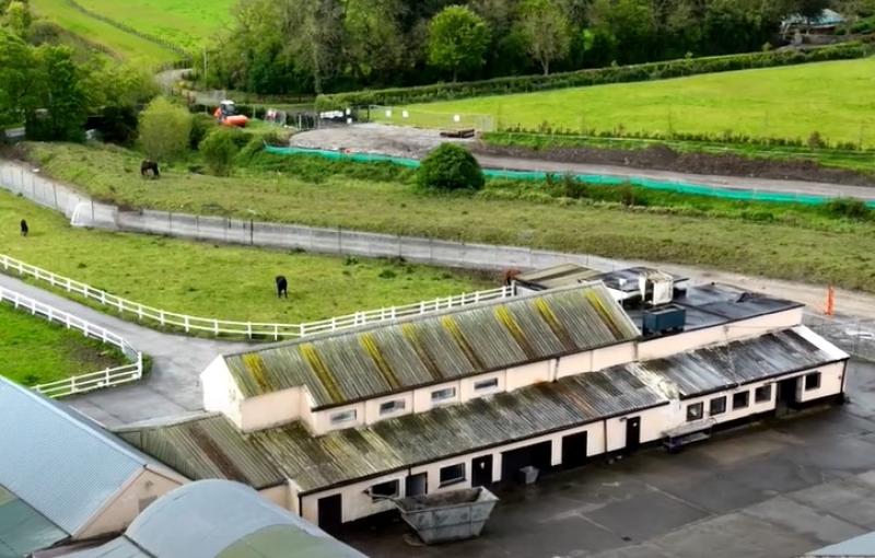 Kildare facility vows to fully investigate any allegation of mistreatment of horses 