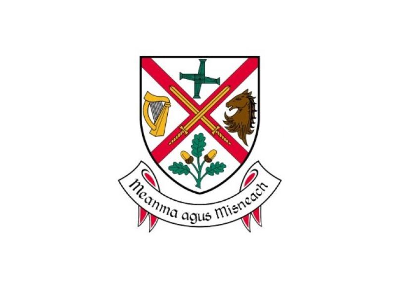 Kildare County Council to host three further homelessness support clinics for this month