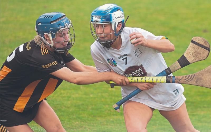 Kildare give it their all but no match for a strong  Kilkenny side 