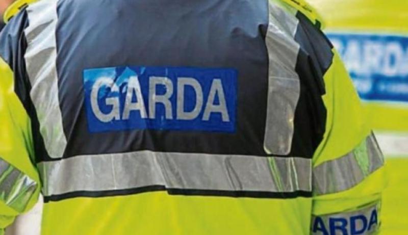 Kildare gardaí investigating suspected criminal damage by fire incident in Derrinturn