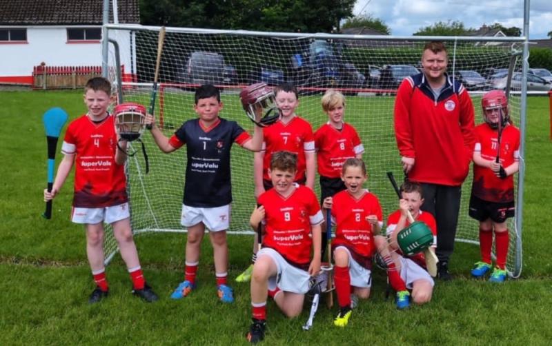 Rebuilding Ros Glas &mdash; a look into the Monasterevin hurling revival