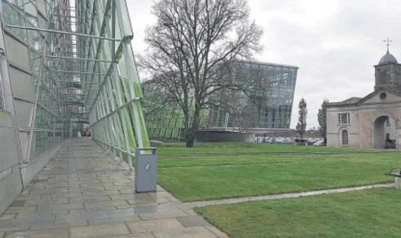 Climate Design Lab publishes call outs for Kildare artists and creatives