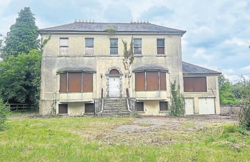 Newbridge development and great house revival opportunity