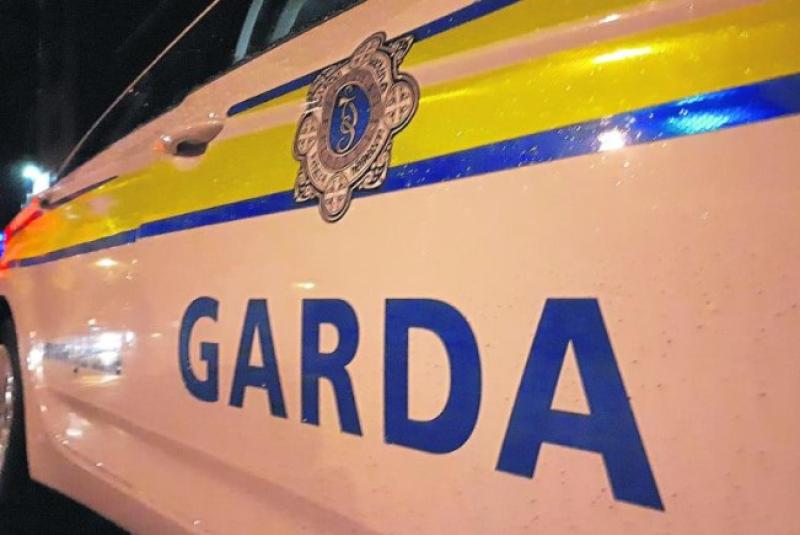 Gardaí investigating after two cars reported stolen from North Kildare premises