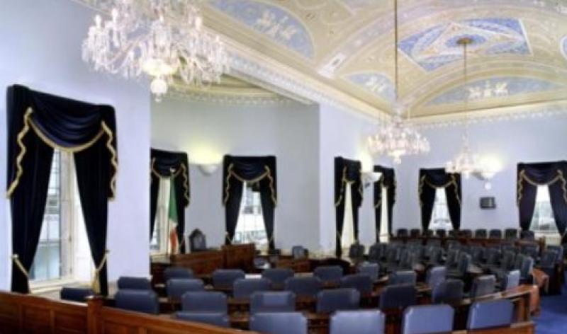 Maternity leave for members of the Oireachtas should be fast-tracked, Kildare Senator says
