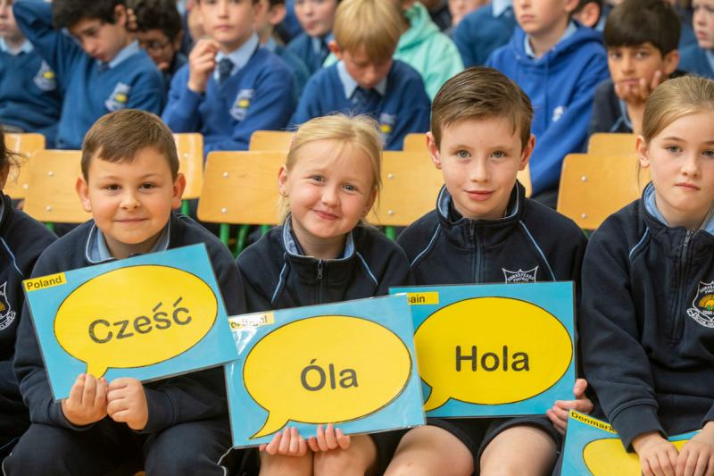 Primary school teachers in Kildare urged to register for the Blue Star Programme