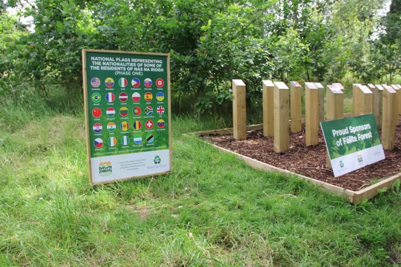 People from 60 different countries are living  in a Kildare town