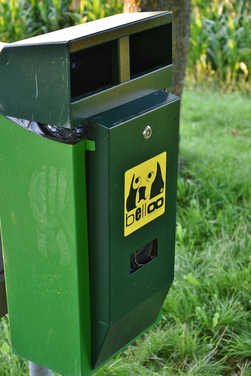 Kildare dog owners encouraged to ‘Clear Our Paths’ as part of Vision Ireland campaign
