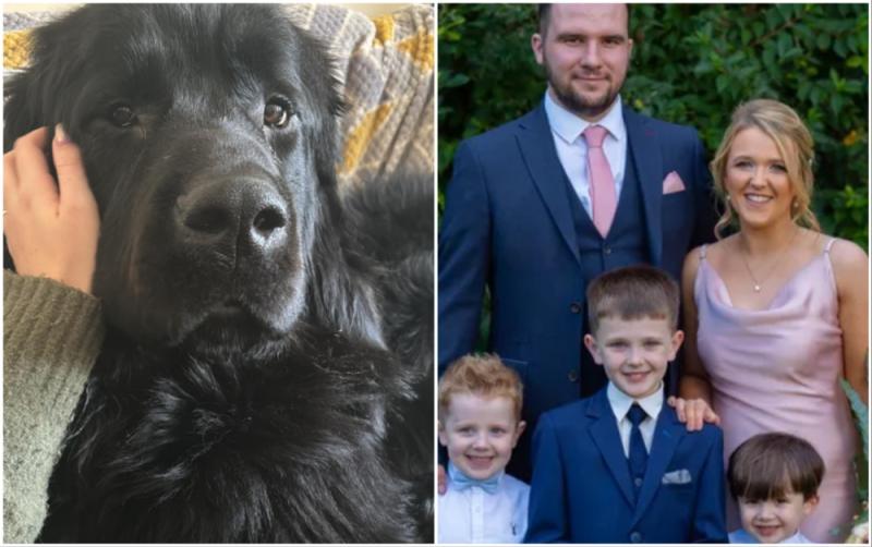 Fundraiser launched after expectant family lose ‘precious’ dog in major house fire