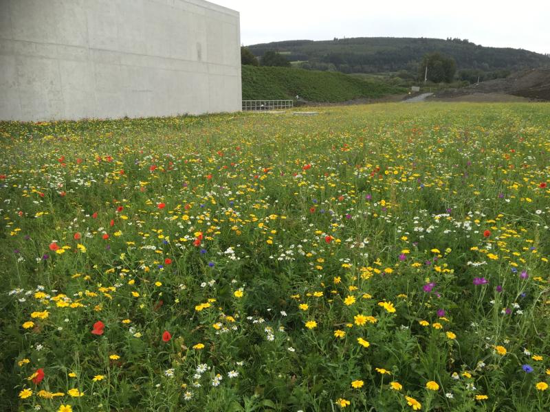 State-of-the-art reservoir to serve thousands of consumers and businesses in Kildare 