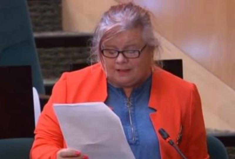 BREAKING: Sinn Fein TD not seeking re-election in Kildare 