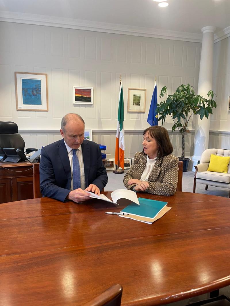 Illegal dumping and illegal encampments 'completely take away from the beauty' of the Curragh says Kildare Senator