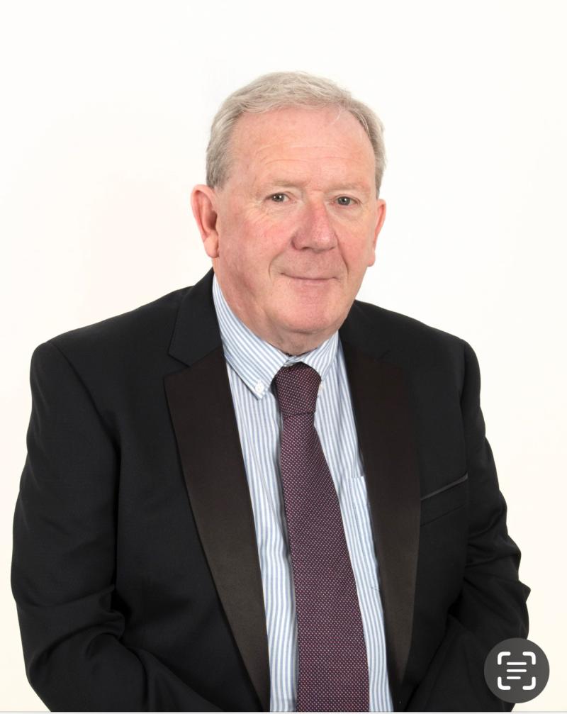 Overhanging trees causing problems in Leixlip