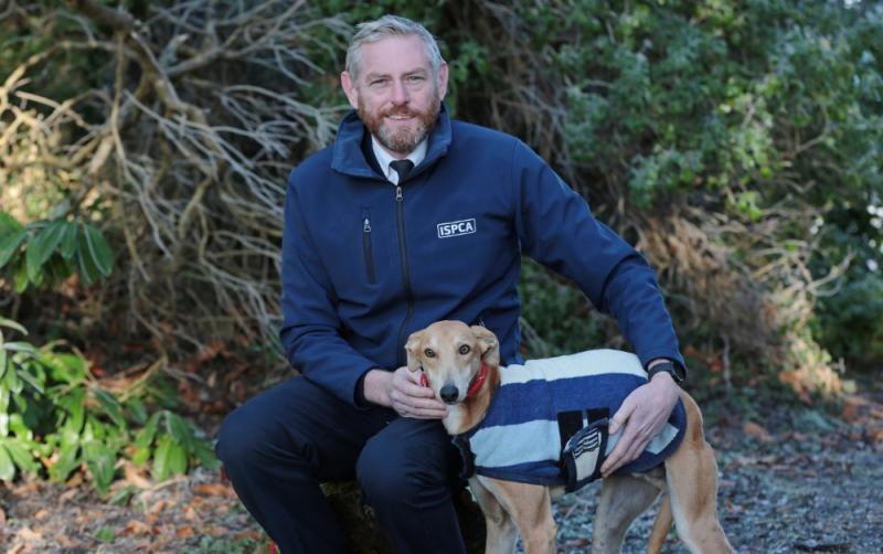 ISPCA calls on Kildare patrons to be the miracle for animals in need