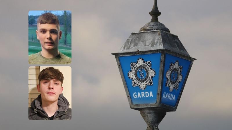 ALERT: Gardai seek help in locating teenage boys reported missing in the same county