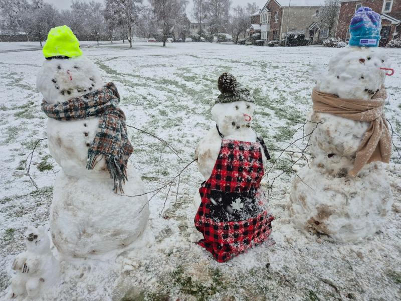 These snowmen were created by the Hollingsworth and Barrett families in College Farm, Newbridge.