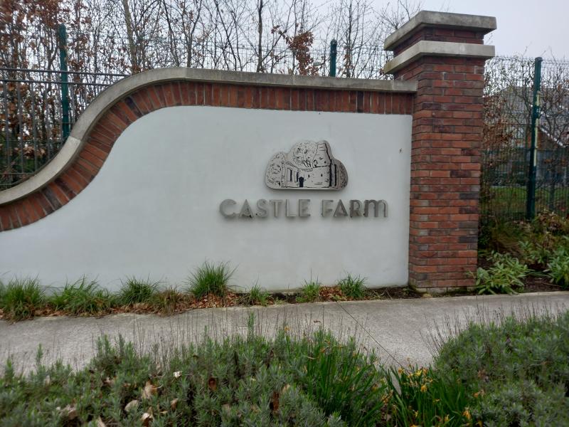 Traffic lights needed near County Kildare housing estate