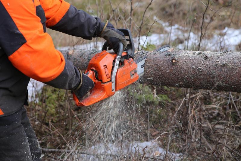 'Well-intentioned' Kildare people urged not to use chainsaws in Storm Éowyn aftermath
