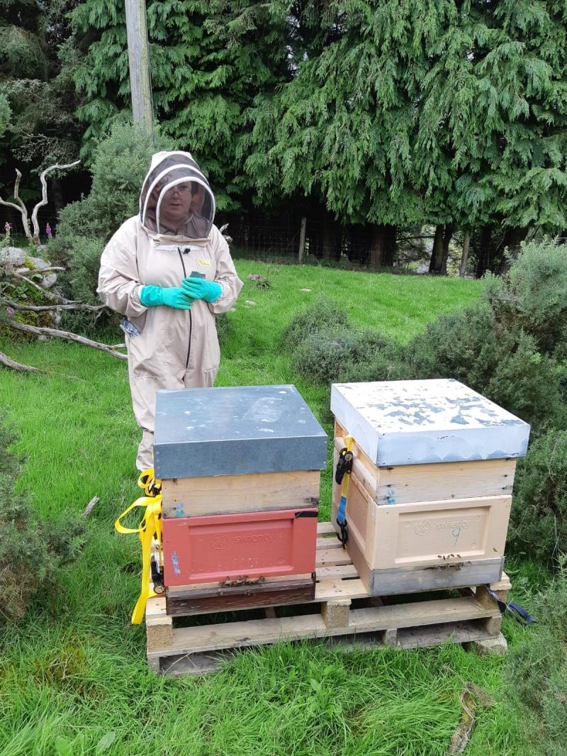 Buzz off to beekeeping course in Kildare