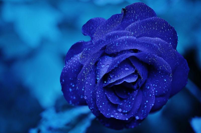 Kildare Death Notices for today: Thursday, February 13 2025
