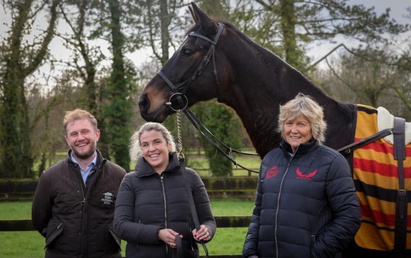 Irish National Stud welcomes Gold Cup hero to legends paddock in Kildare