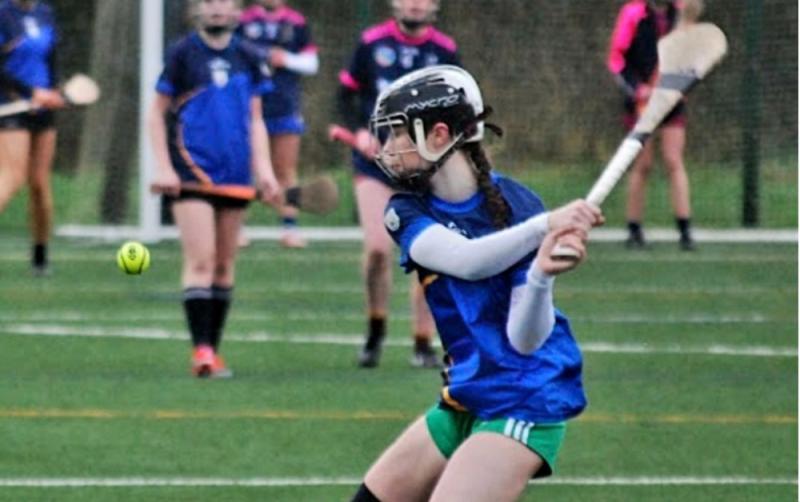 Kildare school set for All-Ireland camogie final this weekend
