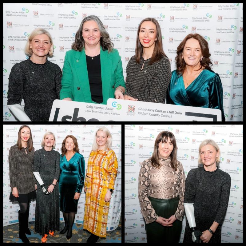 Kildare ranks top 5 in Ireland for number of business women 