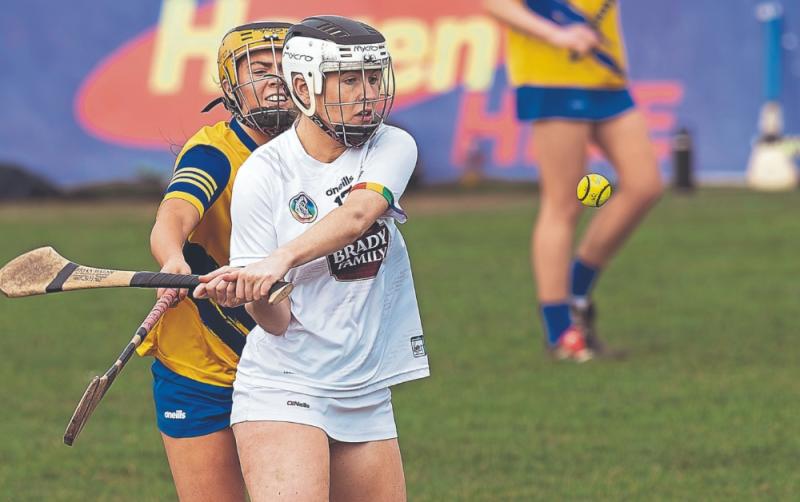Kildare hit Louth for eight goals in Camogie League clash