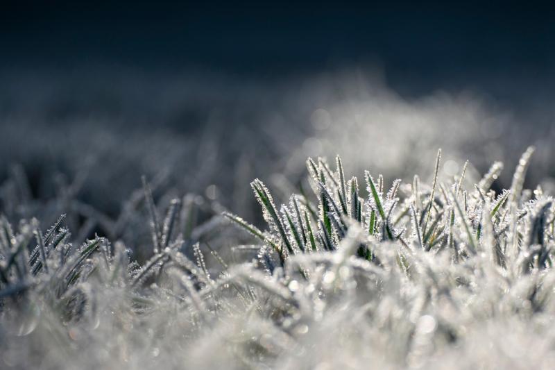 What we know about the next cold snap to hit ahead of St Patrick's Day weekend