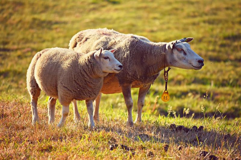 Kildare farmers advised of 2025 EPA inspections