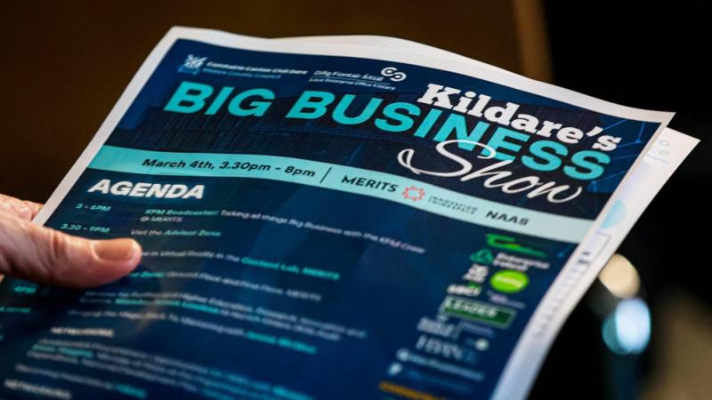 A look back on Kildare's incredible and innovative Big Business Show