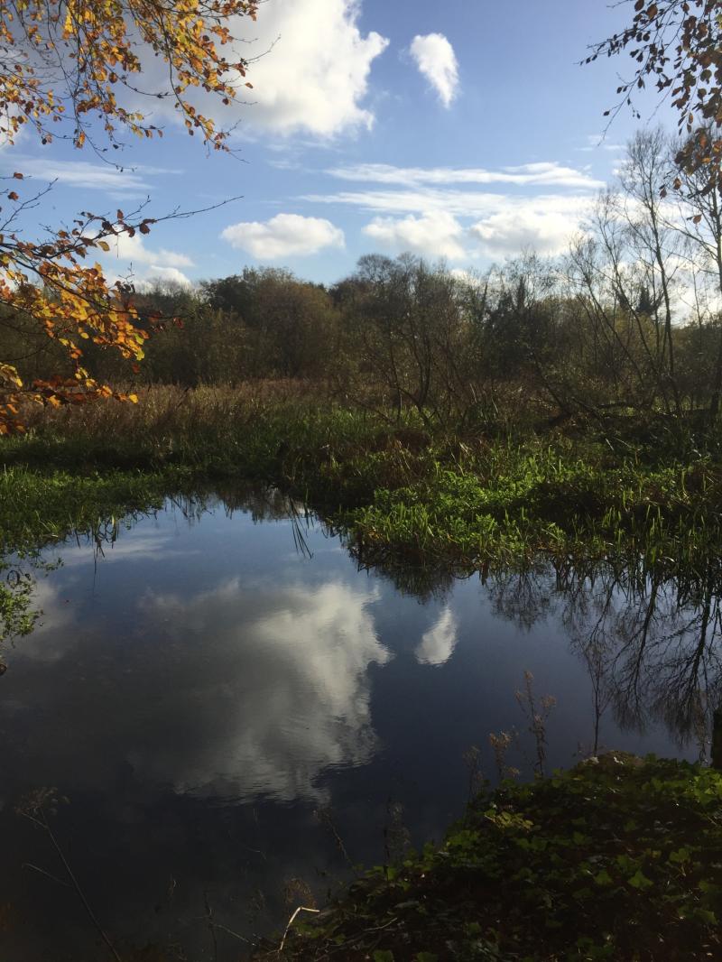 €300,000 to be spent on newly open public garden in Kildare