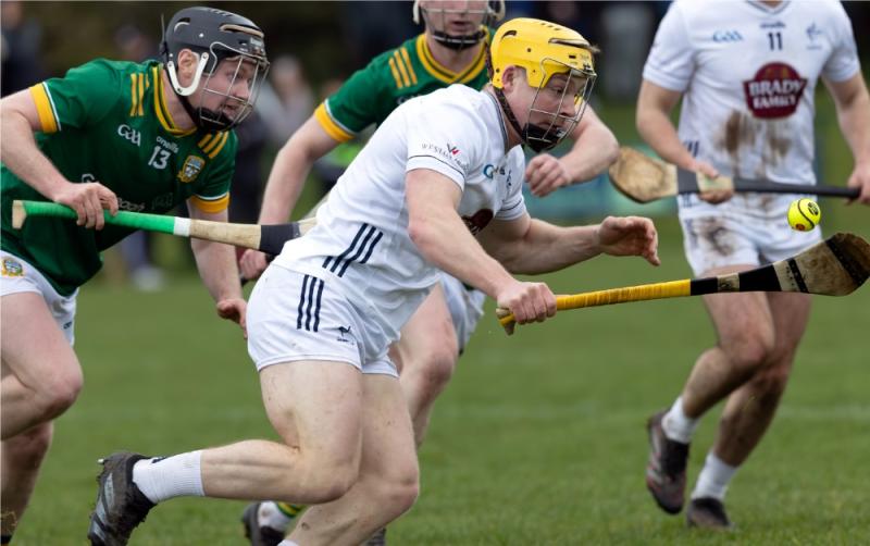 Kildare hurlers hit new heights with promotion to Division 1B