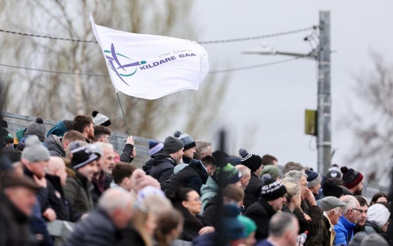 Comment: A weekend of triumph in Kildare as  Lilies bloom all round