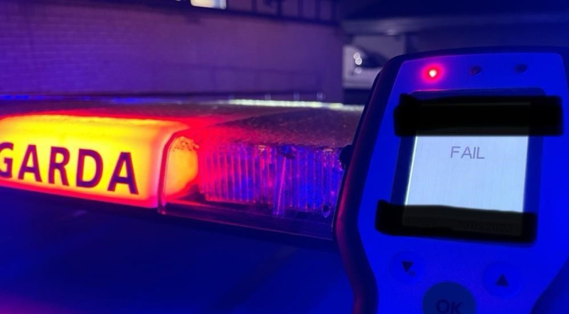 Intoxicated Kildare learner driver stopped by gardaí but there's more...