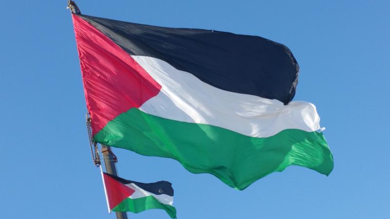 Call to fly Palestine flag at Limerick council headquarters