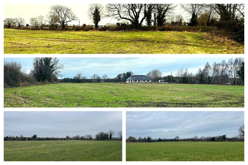 Auctioneer seeks more agricultural land after 30 acress snapped up by farmer