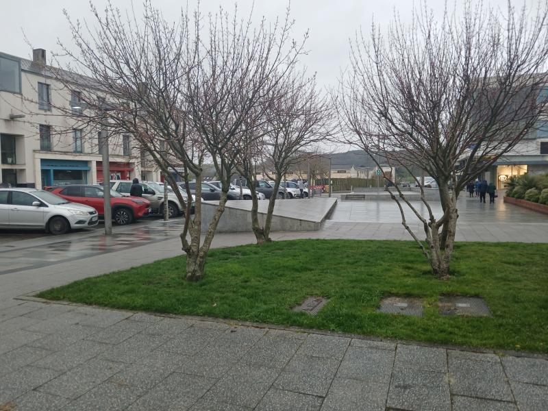 Better bus services are on the way for west Wicklow