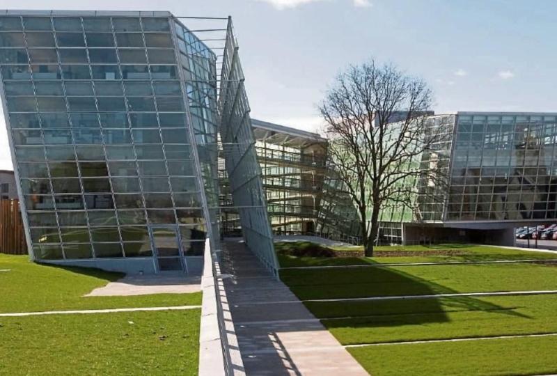 Recommendations by consultants for this Kildare area called into question