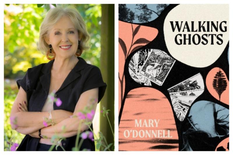 A Kildare-based author has published a new collection of short stories entitled, Walking Ghosts.