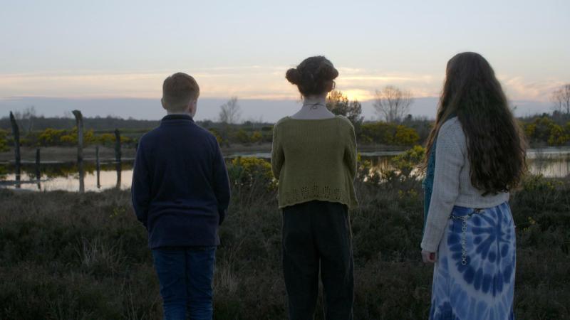 Kildare cinema to host premiere of YouthINK&rsquo;s original film, 'Dance of the Cranes'