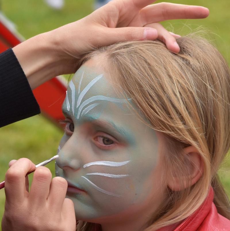 Kildare&nbsp;County Council announces return of Picnic in the Park