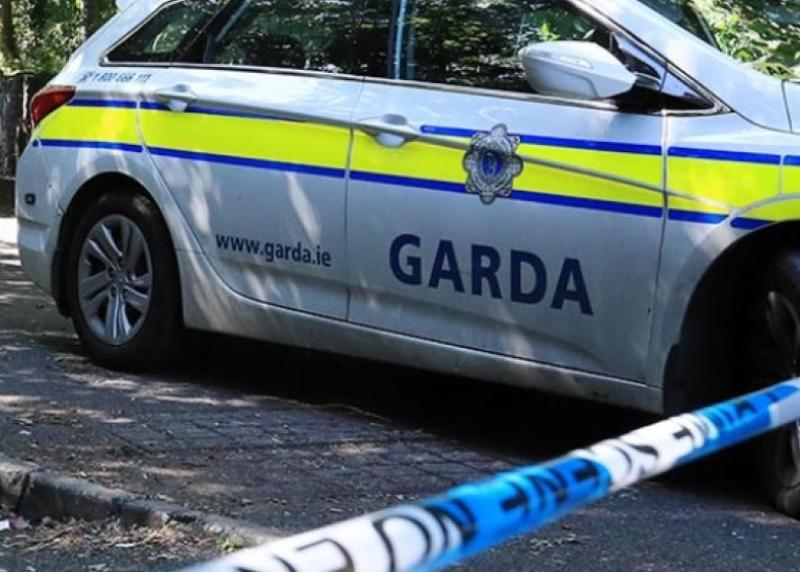 Witness appeal launched by garda&iacute; following &lsquo;serious&rsquo; road traffic collision in Kildare