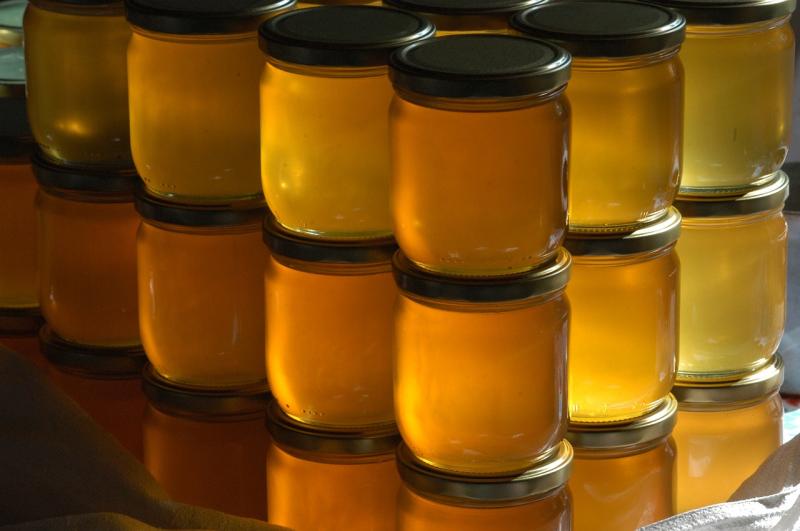 Some buzz for your taste buds! Kildare-based beekeepers announce honey delivery day