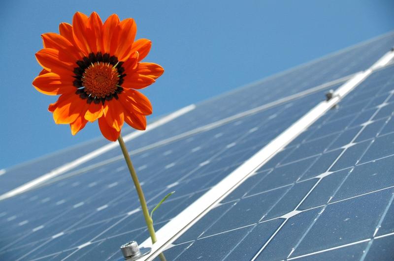 Potential offered by solar energy projects raised at recent Kildare County Council meeting