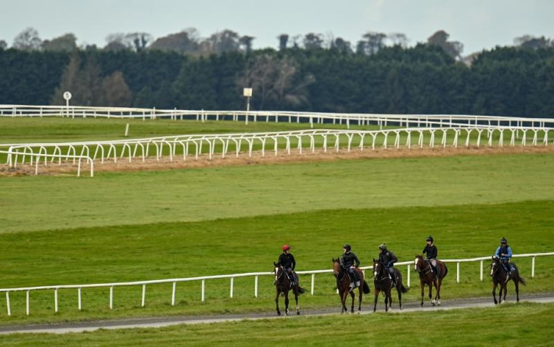 Curragh gallops reopen after disbandment of travelling community campsite