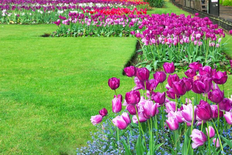 Naas, Co Kildare crowned 'Ireland's Best Kept Town 2025'