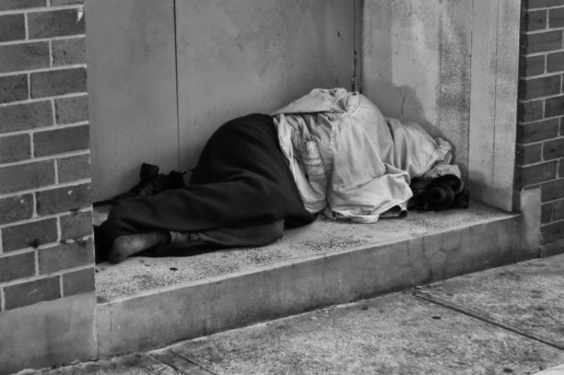 Government is understating homeless figures and housing waiting list data, Kildare Aont&uacute; rep claims